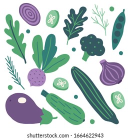 Set of vegetables - onion, arugula, broccoli, dill, green peas, cucumber, beet, squash, eggplant isolated on white background. Healthy eating. Vector illustration.