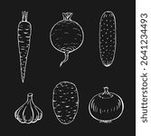 Set of vegetables. Onion, potato, garlic, cucumber, carrot, beet. Hand drawn vector illustration.
