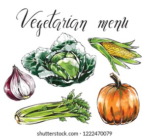 Set of vegetables: onion,corn,pumpkin,cabbage,chinese cabbage,celery. Healthy food for health care and vegetarian menu. Freehand watercolor vector illustration. Black contour, isolated object