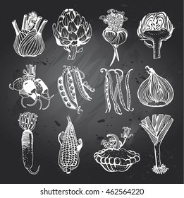Set with Vegetables. Organic Food theme. Hand Drawn Elements in Gray Chalkboard Background.