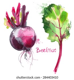 Set of vegetables painted with watercolors on white background. Color beets with leaves. Fruit, half, leaf, abstract blur. Vector drawing