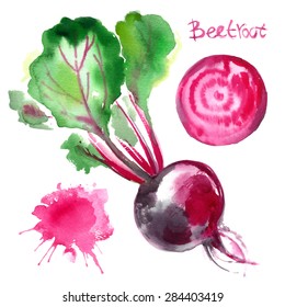 Set Of Vegetables Painted With Watercolors On White Background. Color Beets With Leaves. Fruit, Half, Leaf, Abstract Blur. Vector Drawing