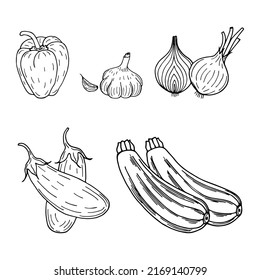 Conjunto de verduras pimienta, ajo, berenjena, tsybulya, zucchini. Ilustración de material vectorial eps10. Aislar sobre fondo blanco, contorno, dibujo a mano.