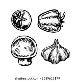 Um conjunto de legumes, pimentos, tomates e alho. Gráficos vetoriais. Ilustração desenhada à mão em preto e branco. Em um fundo branco. Para menus, cartazes ou etiquetas. Para cozinhar receitas e embalagens.