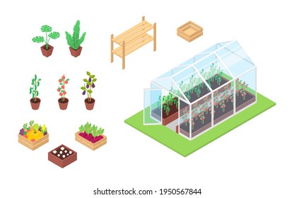 Set of vegetables, plants, seedlings and greenhouse on a white background. Flat vector isometric illustration. svg