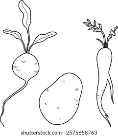 A set of vegetables: potatoes, beets, carrots. Vector linear drawing, outline