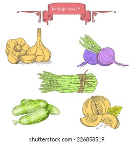 Set of vegetables: pumpkin, beetroot, cucumber, asparagus, garlic