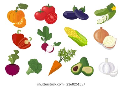 Set of vegetables pumpkin cucumber tomato eggplant pepper radish avocado beet beetroot broccoli carrot. Fresh vegetables, natural product. Vector illustration flat design. Isolated on white background