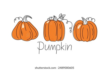 A set of vegetables, pumpkin drawings. Contour drawing, doodle, colored spots. Harvest, food. Autumn season. Halloween. Vector illustration. Background white isolated background.