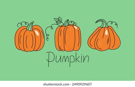 A set of vegetables, pumpkin drawings. Contour drawing, doodle, colored spots. Harvest, food. Autumn season. Halloween. Vector illustration. Background white isolated background.