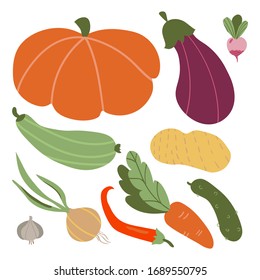 Set of vegetables: pumpkin, eggplant, cabbage, potatoes, carrots, cucumber and others. Flat vector cartoon illustration isolated on white background.