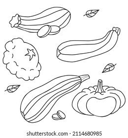 Set Of Vegetables. Pumpkin And Pattison, Vegetables Squash And Zucchini. Vector Illustration. Isolated Linear Hand Drawing, Outline For Design, Decor And Decoration