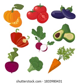 Set of vegetables pumpkin tomato eggplant pepper radish avocado beet beetroot broccoli carrot. Fresh vegetables, natural products. Vector illustration flat design. Isolated on white background
