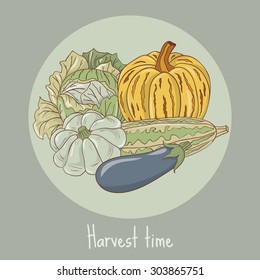 Set of vegetables. Pumpkin, zucchini, squash, eggplant and cabbage. Each vegetable can be used separately. EPS10 vector illustration.