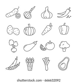 Set of vegetables Related Vector Line Icons. Contains such icon as cucumber, garlic, pepper, potato, pumpkin, carrots, peppers, broccoli, radishes,eggplant, tomato, peas, asparagus,leeks, avocado