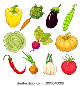 set  is vegetables ripe autumn.  vector illustration
