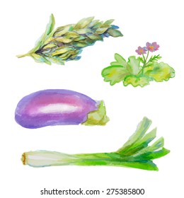 Set of vegetables for salad