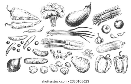 Set of vegetables sketches. Black and white collection of vegetables. Peppers, broccoli, eggplant, onions, mushrooms, asparagus, zucchini, carrots, cucumber, potatoes, garlic, peas, basil, tomatoes.