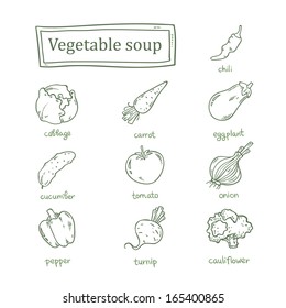 Set of vegetables for soup. Vegetables from the garden. Classic set of roots and vegetables