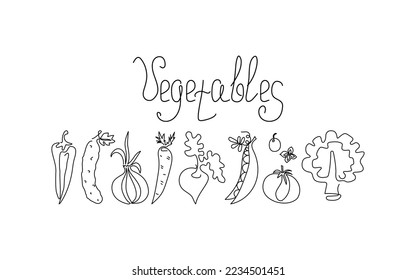 Set of vegetables in the style of line art. Vegetarian food. One line drawing. Vector graphics. Isolated background.	