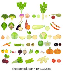 set of vegetables. thirty two  kinds of vegetables are whole and in a cut.Square of colored vegetables. Fresh food. Pumpkin, Cabbage, Blockley, kohlrabi, cauliflower, Brussels, beets, asparagus, corn