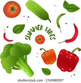 Set of vegetables. Tomato, broccoli, paprika, peppers, cucumber and basil. Isolated 3d vector icon set