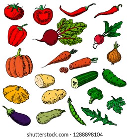 Set of vegetables. Vector cartoon illustrations. Isolated objects on a white background. Hand-drawn style.