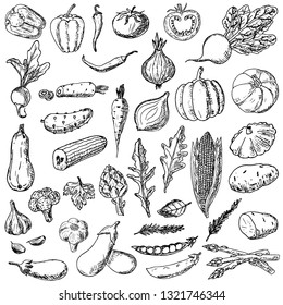 Conjunto de verduras. Ilustraciones de dibujos animados. Objetos aislados en un fondo blanco. Comida vegetariana. Estilo dibujado a mano.