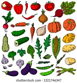 Set of vegetables. Vector cartoon illustrations. Isolated objects on a white background. Vegetarian food. Hand-drawn style.