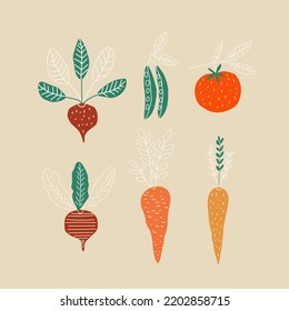 Un conjunto de verduras. Vector al estilo de las caricaturas. Todos los elementos están aislados	