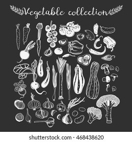 Set of vegetables vector collection hand drawn sketch bw