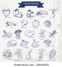Set of vegetables. Vector hand drawing sketch illustration. Vector illustration for your design