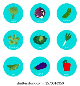 Set of vegetables vector icons isolated on white background.  Flat blue circle icon with healthy food. 