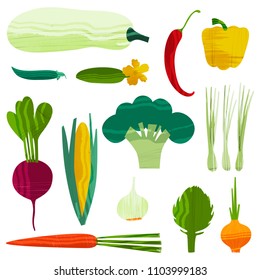 Set of vegetables. Vector illustration