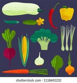 Set of vegetables. Vector illustration
