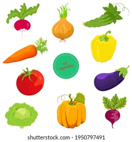 Conjunto de verduras. Ilustración vectorial de verduras coloridas. Las ilustraciones están aisladas en un fondo blanco.