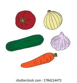 Set of vegetables, vector illustration, tomato, onion, cucumber, garlic and carrot, hand drawing, colored