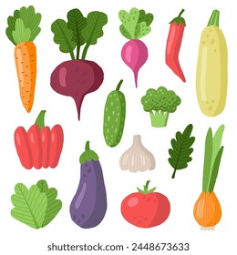 Set of vegetables. Vector illustrations