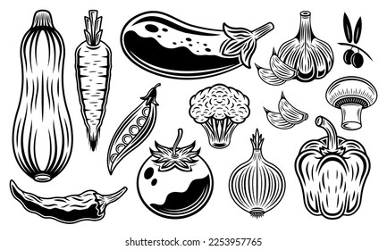 Set of vegetables vector objects or elements, isolated illustration in vintage black and white style