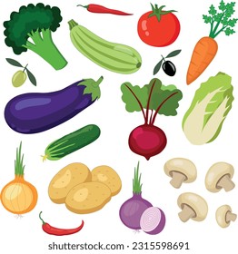 Set of vegetables, Vegan diet products. Ingredients for cooking healthy organic food, vegetables vector illustration. Grocery store, tomato, cucumber, potato, carrot, onion, mushroom, beetroot, pepper