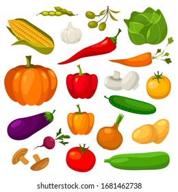 Set of vegetables, veggies, ingredients flat icons