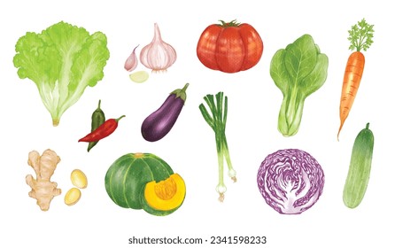 Set of Vegetables watercolor vector illustration