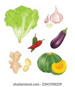 Conjunto de ilustraciones de vectores de acuarela de verduras