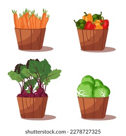 Set of vegetables in wooden baskets. Vector illustration