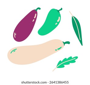 Set of vegetables. Zucchini and eggplant.