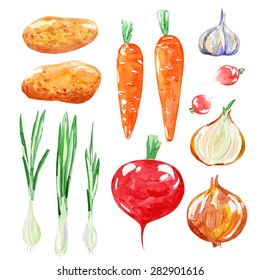 Set of vegetarian food. Watercolor background. Potatoes, carrots, garlic, onions, beets, radishes. Isolated elements for easy use.