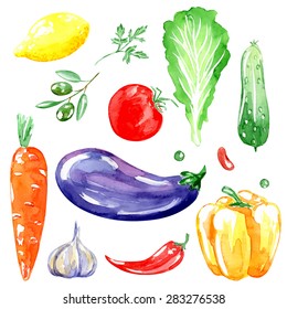 Set of vegetarian food. Watercolor background. Lemon, carrot, garlic, onion, beets, pepper, olives, cucumber, tomato, eggplant, parsley. Isolated elements for easy use.