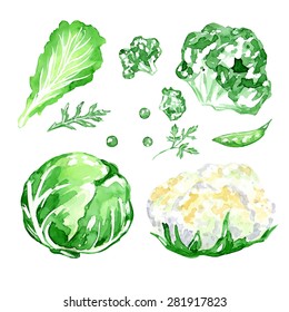 Set of vegetarian food. Watercolor vector green background. Peas, cabbage and cauliflower. Isolated elements for easy use. 