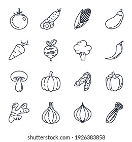 Set of veggies icon. vegetarian, vegetable pack symbol template for graphic and web design collection logo vector illustration
