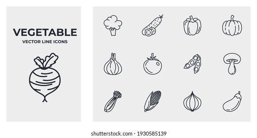 Set of veggies icon. vegetarian, vegetable pack symbol template for graphic and web design collection logo vector illustration